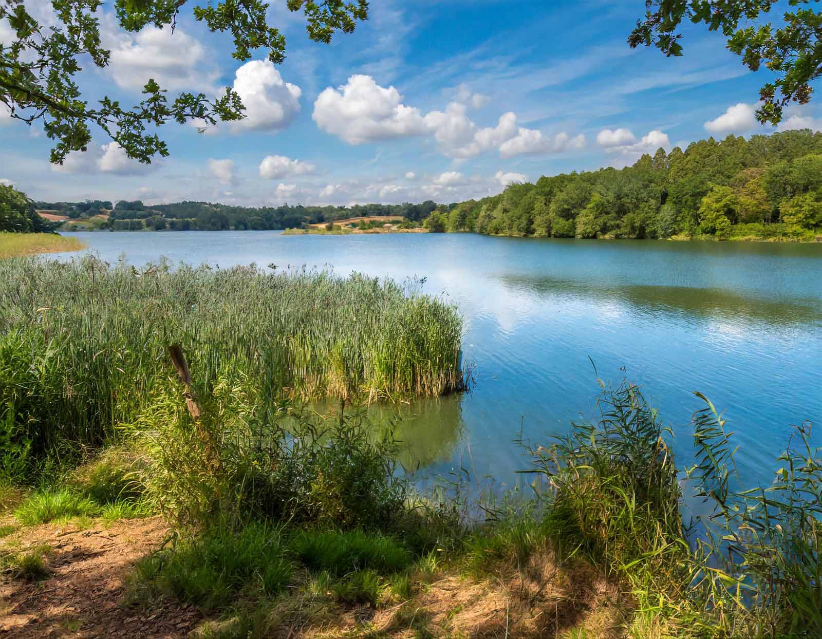 Eine wunderschöne Aussicht über die Lausitzer Seenlandschaften in Sachsen.